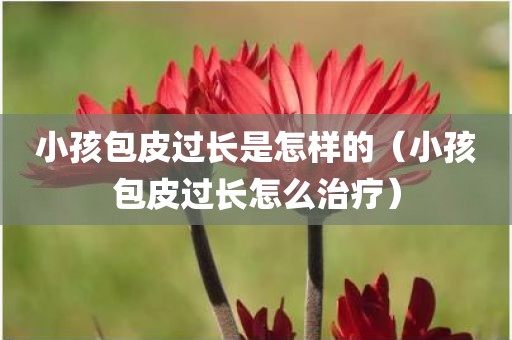 小孩包皮过长是怎样的（小孩包皮过长怎么治疗）