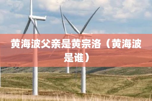 黄海波父亲是黄宗洛（黄海波是谁）