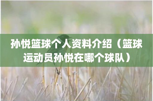 孙悦篮球个人资料介绍（篮球运动员孙悦在哪个球队）