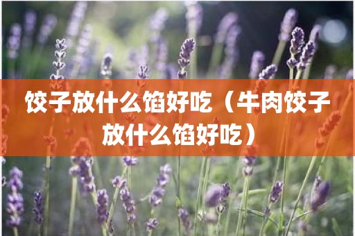 饺子放什么馅好吃（牛肉饺子放什么馅好吃）
