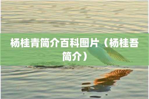 杨桂青简介百科图片（杨桂吾简介）