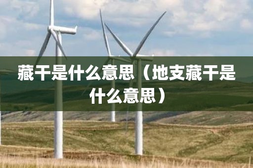 藏干是什么意思（地支藏干是什么意思）