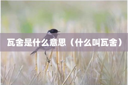 瓦舍是什么意思（什么叫瓦舍）