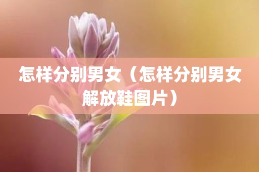 怎样分别男女（怎样分别男女解放鞋图片）