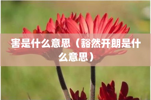 害是什么意思（豁然开朗是什么意思）