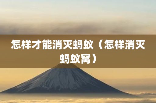 怎样才能消灭蚂蚁（怎样消灭蚂蚁窝）