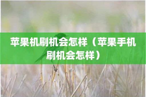 苹果机刷机会怎样（苹果手机刷机会怎样）