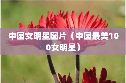 中国女明星图片（中国最美100女明星）