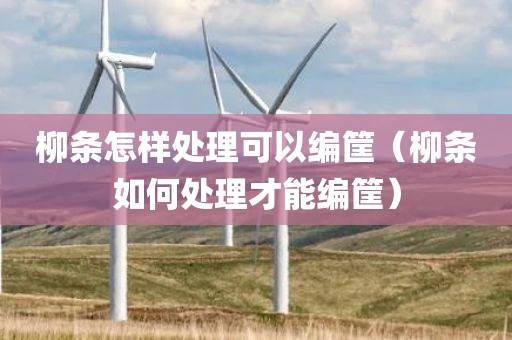柳条怎样处理可以编筐（柳条如何处理才能编筐）