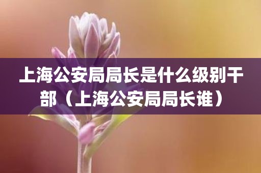 上海公安局局长是什么级别干部（上海公安局局长谁）
