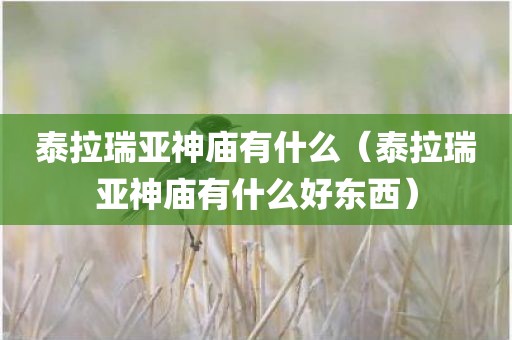 泰拉瑞亚神庙有什么（泰拉瑞亚神庙有什么好东西）