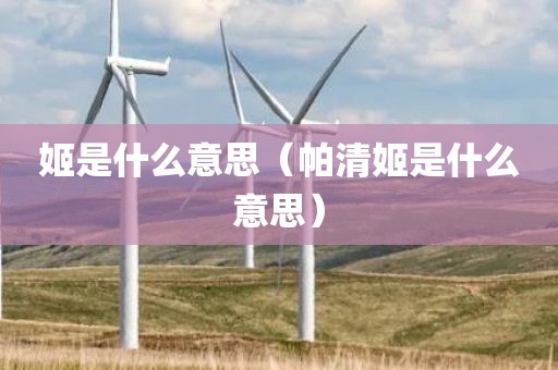姬是什么意思（帕清姬是什么意思）