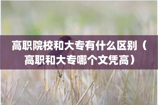 高职院校和大专有什么区别（高职和大专哪个文凭高）