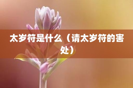 太岁符是什么（请太岁符的害处）