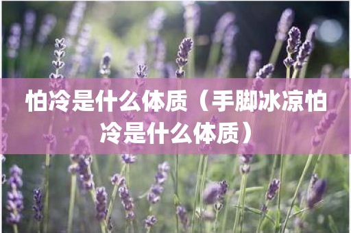 怕冷是什么体质（手脚冰凉怕冷是什么体质）