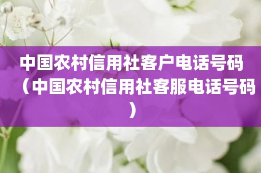 中国农村信用社客户电话号码（中国农村信用社客服电话号码）