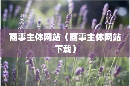 商事主体网站(商事主体网站下载)