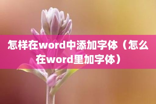 怎样在word中添加字体（怎么在word里加字体）