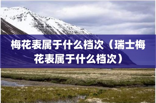 梅花表属于什么档次（瑞士梅花表属于什么档次）