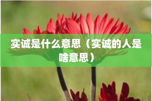 实诚是什么意思（实诚的人是啥意思）