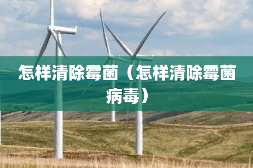 怎样清除霉菌（怎样清除霉菌病毒）