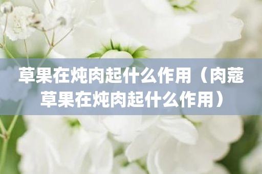 草果在炖肉起什么作用（肉蔻草果在炖肉起什么作用）