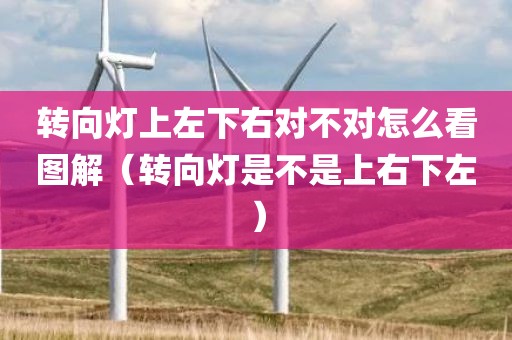 转向灯上左下右对不对怎么看图解（转向灯是不是上右下左）