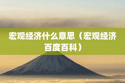 宏观经济什么意思（宏观经济百度百科）