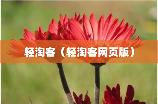 轻淘客（轻淘客网页版）