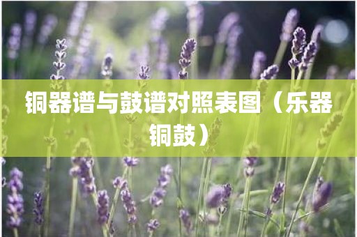 铜器谱与鼓谱对照表图（乐器铜鼓）