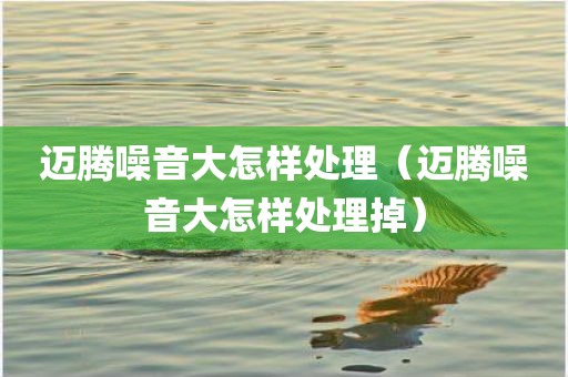 迈腾噪音大怎样处理（迈腾噪音大怎样处理掉）
