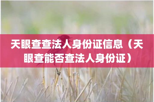 天眼查查法人身份证信息（天眼查能否查法人身份证）