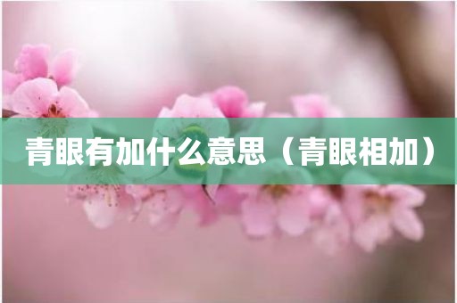 青眼有加什么意思（青眼相加）
