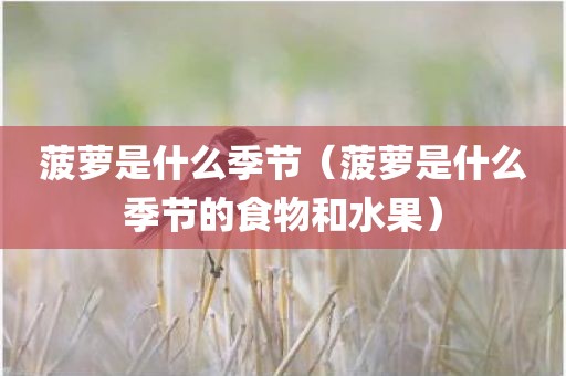 菠萝是什么季节(菠萝是什么季节的食物和水果) 菠萝是什么季节(菠萝是什么季节的食物和水果)
