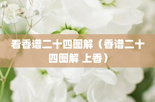 看香谱二十四图解(香谱二十四图解 上香)