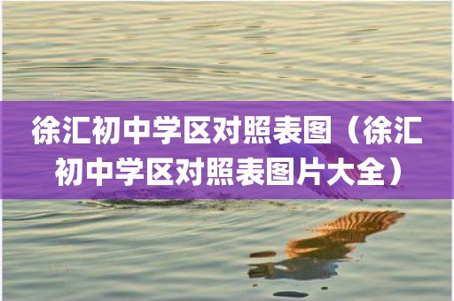 徐汇初中学区对照表图（徐汇初中学区对照表图片大全）