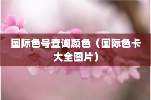 国际色号查询颜色（国际色卡大全图片）