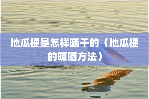 地瓜梗是怎样晒干的（地瓜梗的晾晒方法）