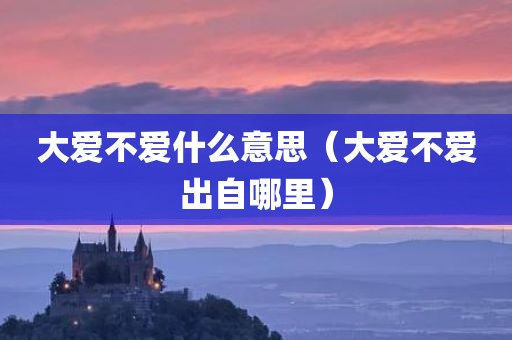 大爱不爱什么意思（大爱不爱出自哪里）