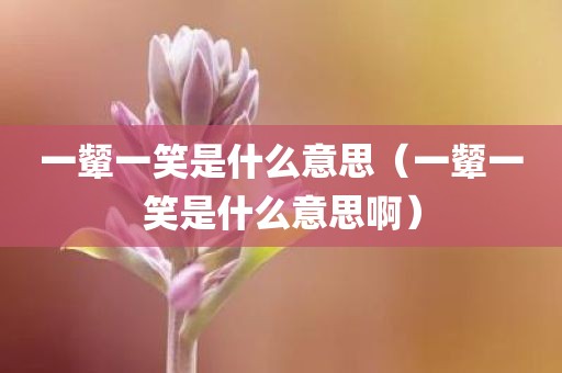 一颦一笑是什么意思（一颦一笑是什么意思啊）
