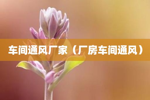 车间通风厂家(厂房车间通风)