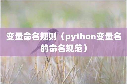 变量命名规则（python变量名的命名规范）
