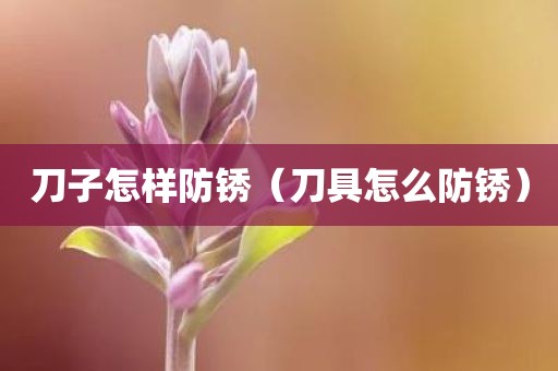 刀子怎样防锈（刀具怎么防锈）