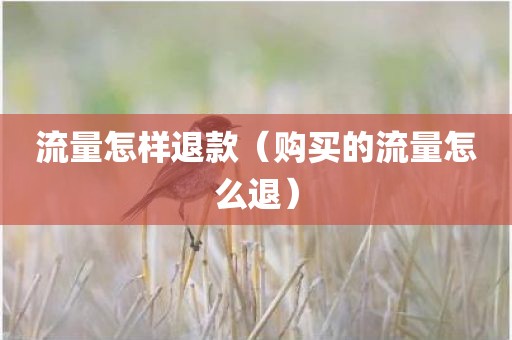 流量怎样退款（购买的流量怎么退）