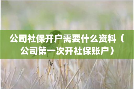 公司社保开户需要什么资料（公司第一次开社保账户）