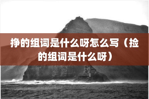 挣的组词是什么呀怎么写（捡的组词是什么呀）