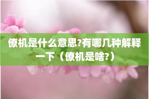 僚机是什么意思?有哪几种解释一下（僚机是啥?）