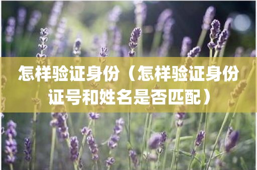 怎样验证身份（怎样验证身份证号和姓名是否匹配）