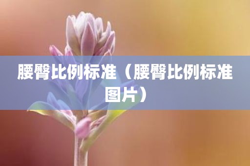 腰臀比例标准（腰臀比例标准图片）
