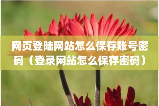 网页登陆网站怎么保存账号密码（登录网站怎么保存密码）